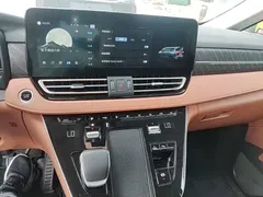 2024 Hongqi HQ9 2.0T 4WD — фото 18