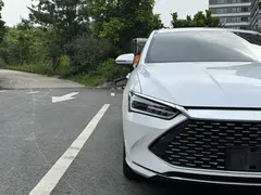 2023 BYD Qin PLUS 55KM, белый — фото 6