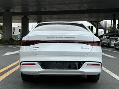 2023 BYD Qin PLUS 55KM, белый — фото 9