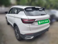 2020 Geely Coolray 240T DCT, белый — фото 7
