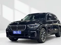 2022 BMW X5 30Li M, чёрный — фото 1