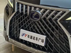 2020 Lexus LM 300h, чёрный — фото 27