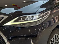 2020 Lexus LM 300h, чёрный — фото 28