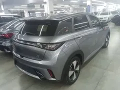 2023 BYD Dolphin 420km Fashion — фото 5