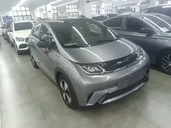 2023 BYD Dolphin 420km Fashion — фото 22