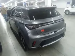 2023 BYD Dolphin 420km Fashion — фото 23