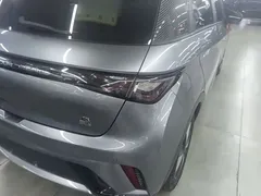 2023 BYD Dolphin 420km Fashion — фото 24