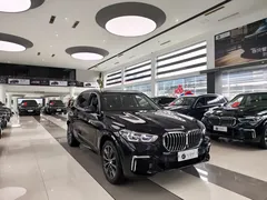 2022 BMW X5 30Li Premium M Sport Package, чёрный — фото 3