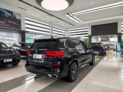 2022 BMW X5 30Li Premium M Sport Package, чёрный — фото 6