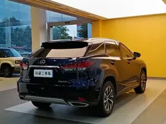 2020 Lexus RX 300 2WD Elite, синий — фото 31