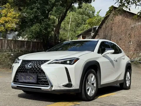2022 Lexus UX 260h