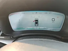2024 BYD Song PLUS 110km PLUS, белый — фото 14