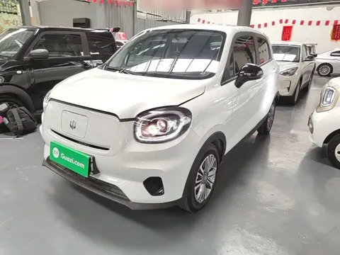 2024 Leapmotor T03 310