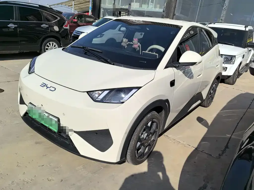 2025 BYD Seagull Smart Driving 305km Freedom