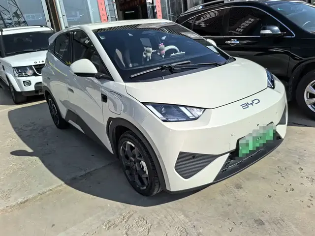 2025 BYD Seagull Smart Driving 305km Freedom
