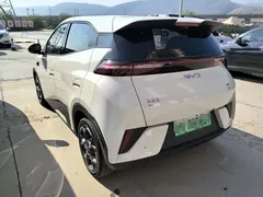 2025 BYD Seagull Smart Driving 305km Freedom — фото 4