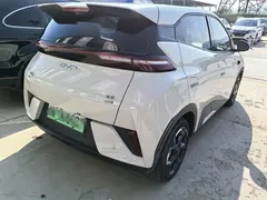 2025 BYD Seagull Smart Driving 305km Freedom — фото 6