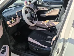 2025 BYD Seagull Smart Driving 305km Freedom — фото 7