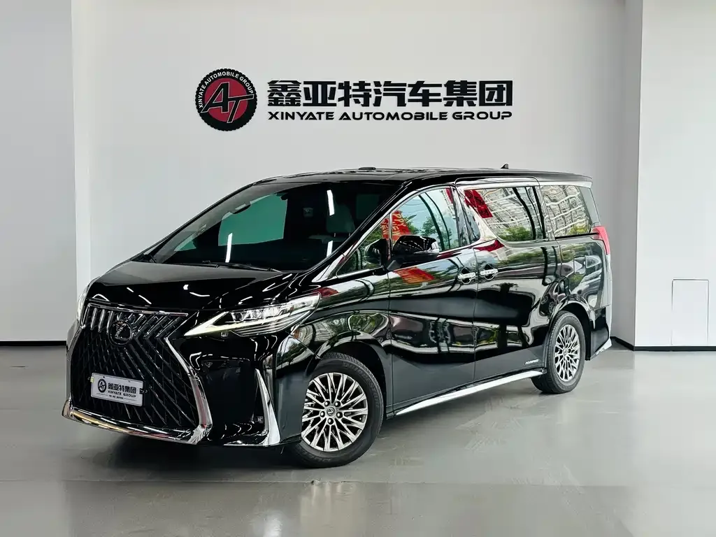 2020 Lexus LM 300h