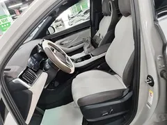 2025 BYD Song PLUS EV 520km Premium — фото 11