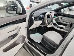 2025 BYD Song PLUS EV 520km Premium — фото 12