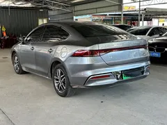 2023 BYD Qin PLUS DM-i 120KM — фото 8