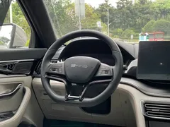 2024 BYD Song PLUS 71km — фото 16