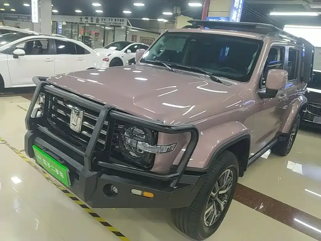 2023 Tank 300 2.0T