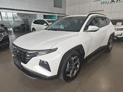 2021 Hyundai Tucson 1.5T DCT LUX Premium, белый — фото 1