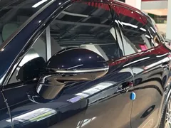 2022 Porsche Cayenne 3.0T Platinum, синий — фото 14