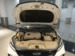 2021 Geely Binrui 1.4T CVT F Sport, белый — фото 11