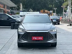 2021 BYD PLUS DM-i 110KM PLUS — фото 2