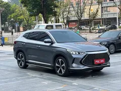 2021 BYD PLUS DM-i 110KM PLUS — фото 3