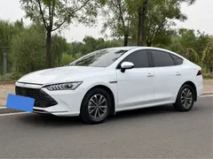 2024 BYD Qin PLUS 55KM, белый — фото 1