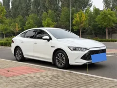 2024 BYD Qin PLUS 55KM, белый — фото 3