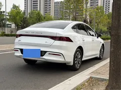 2024 BYD Qin PLUS 55KM, белый — фото 4