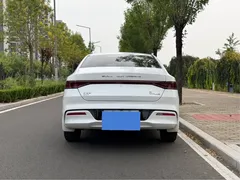 2024 BYD Qin PLUS 55KM, белый — фото 5