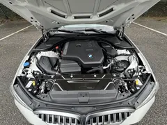 2023 BMW 3 Series 3 320Li M, белый — фото 25