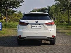 2020 Lexus RX 300 2WD Elite, белый — фото 6