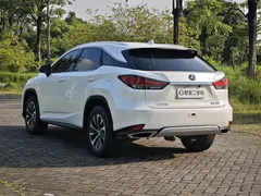 2020 Lexus RX 300 2WD Elite, белый — фото 7