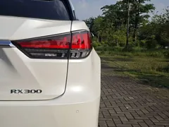 2020 Lexus RX 300 2WD Elite, белый — фото 9