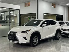 2020 Lexus NX 200 VI, белый — фото 1
