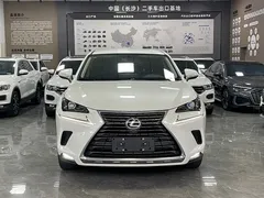 2020 Lexus NX 200 VI, белый — фото 2