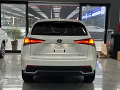 2020 Lexus NX 200 VI, белый — фото 16