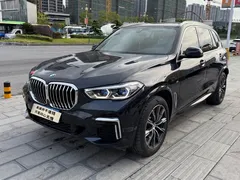 2022 BMW X5 xDrive 30Li M, чёрный — фото 1