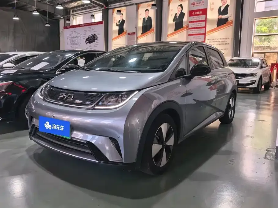 2023 BYD Dolphin 420km Fashion