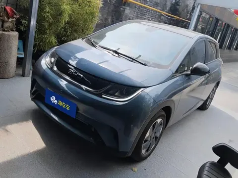 2024 BYD Dolphin Honor 420km Fashion