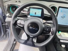 2024 BYD Dolphin Honor 420km Fashion, синий — фото 15