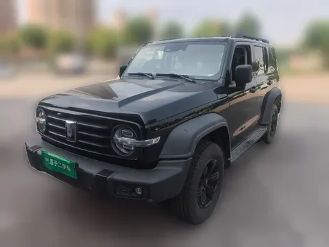 2021 Tank 300 2.0T