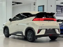 2025 BYD Seagull EV 305km, белый — фото 6